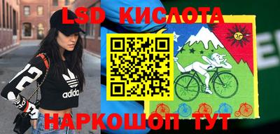 гидропоника Будённовск