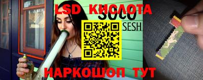 гидропоника Будённовск