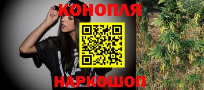 гидропоника Будённовск