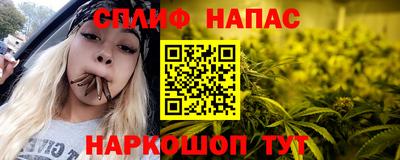 гидропоника Будённовск