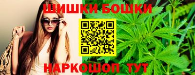 гидропоника Будённовск