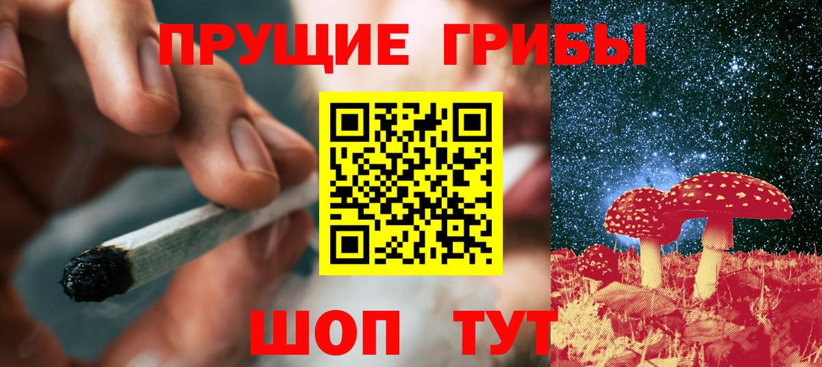 Псилоцибиновые грибы Psilocybine cubensis  Галлюциногенные грибы Cubensis  Вход с VPN  Урус-Мартан 
