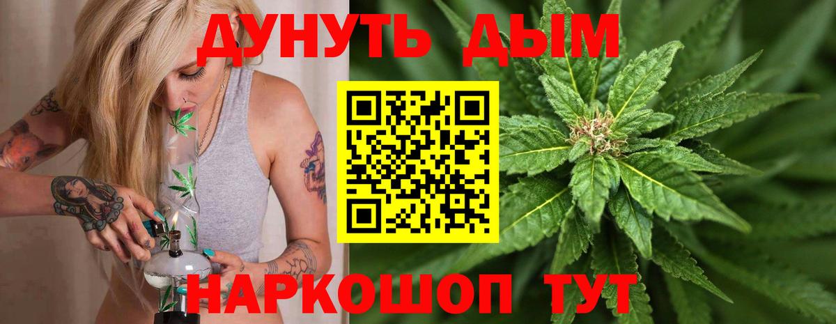 Шишки марихуана семена Урус-Мартан